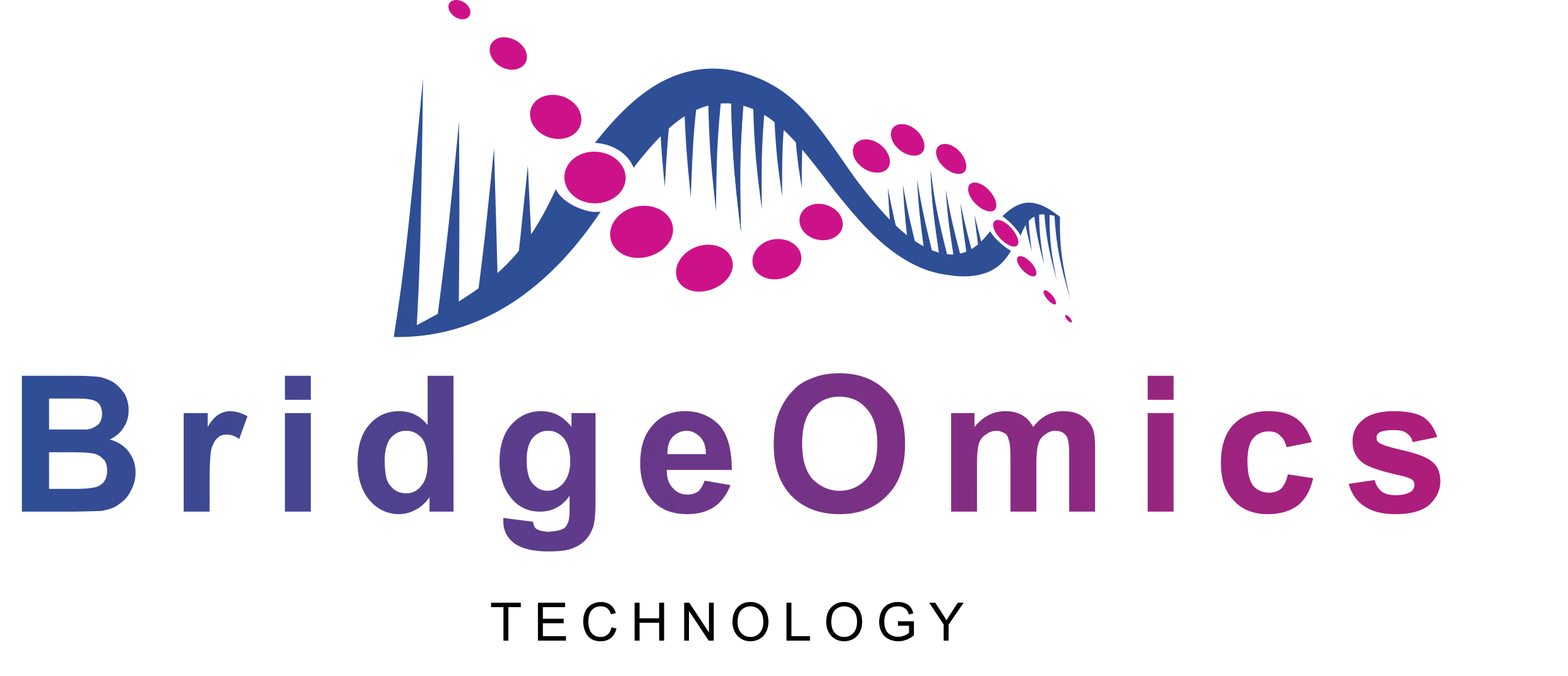 BridgeOmics Logo